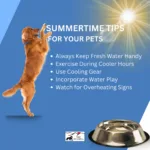 SUMMERTIME TIPS FOR YOUR PETS Always Keep Fresh Water Handy Exercise During Cooler Hours Use Cooling Gear Incorporate Water Play Watch for Overheating Signs